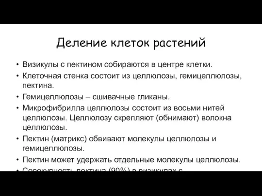 Деление клеток растений Визикулы с пектином собираются в центре клетки. Клеточная