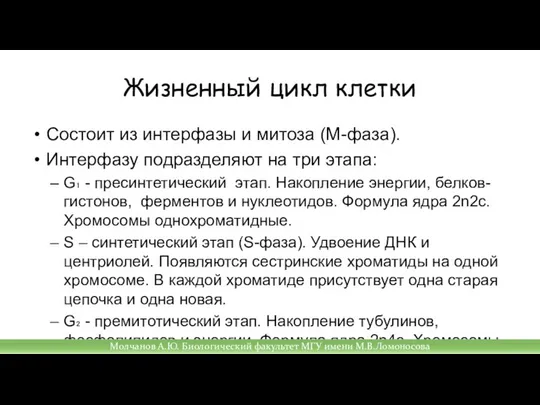 Состоит из интерфазы и митоза (М-фаза). Интерфазу подразделяют на три этапа: