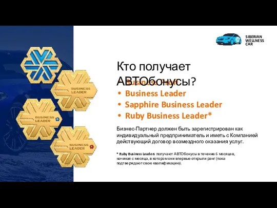 Business Profi Business Leader Sapphire Business Leader Ruby Business Leader* Бизнес-Партнер