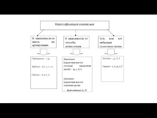 Гортанные – c, g; Зубные – d, t, s, r, l,