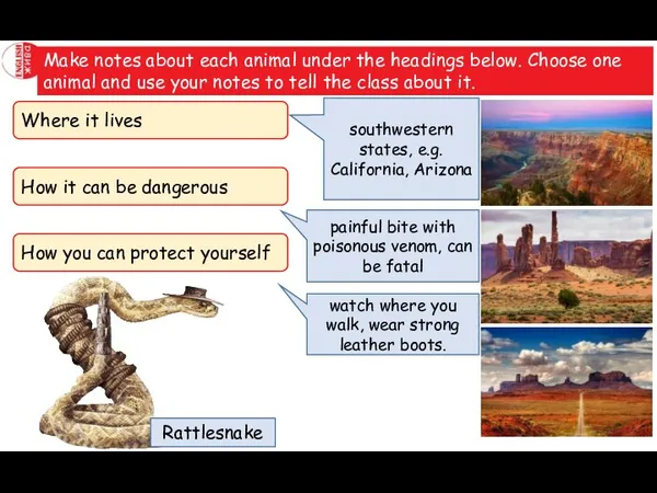 Make notes about each animal under the headings below. Choose one