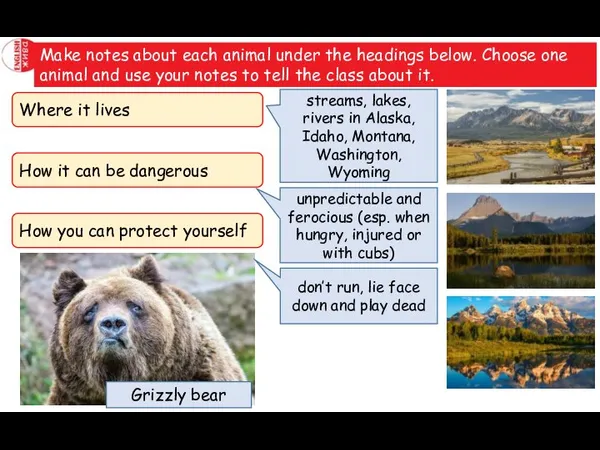 Make notes about each animal under the headings below. Choose one