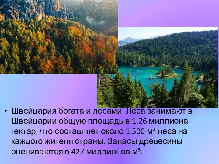 Швейцария богата и лесами. Леса занимают в Швейцарии общую площадь в