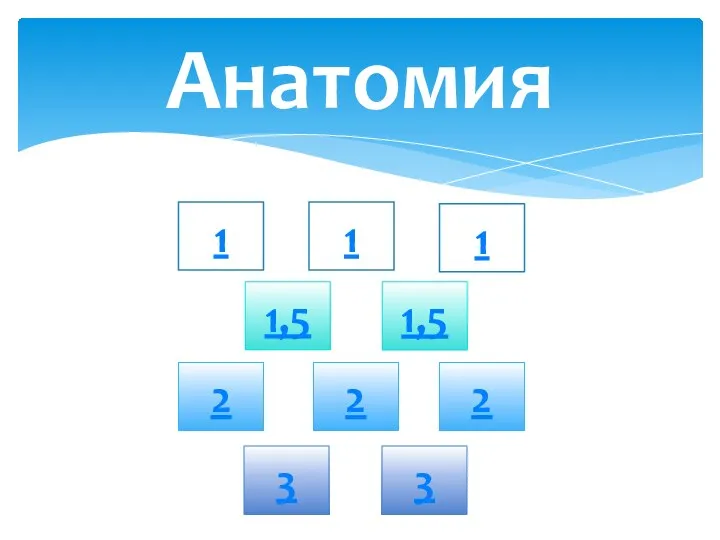 Анатомия 1 1 1 3 3 2 2 1,5 1,5 2