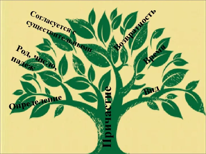Причастие Вид Время Возвратность Согласуется с существительными Род, число, падеж Определение
