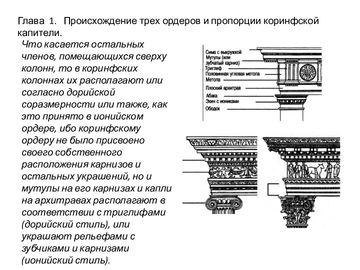 Глава 1. Происхождение трех ордеров и пропорции коринфской капители. Что касается