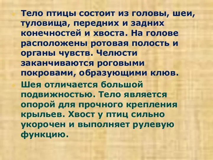 Тело птицы состоит из головы, шеи, туловища, передних и задних конечностей