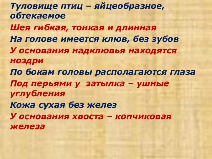 Туловище птиц – яйцеобразное, обтекаемое Шея гибкая, тонкая и длинная На