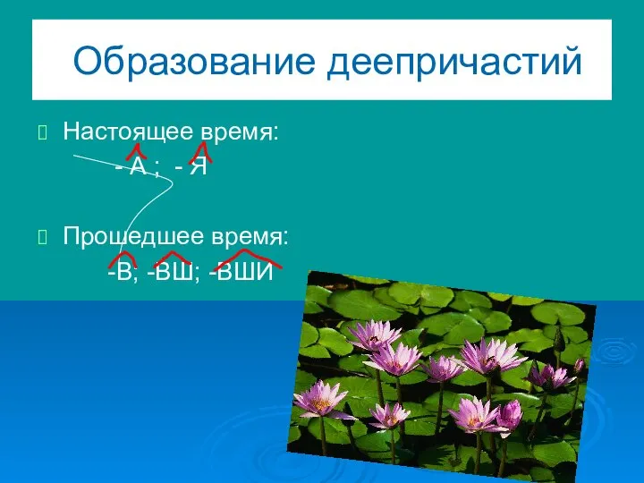 Образование деепричастий Настоящее время: - А ; - Я Прошедшее время: -В; -ВШ; -ВШИ