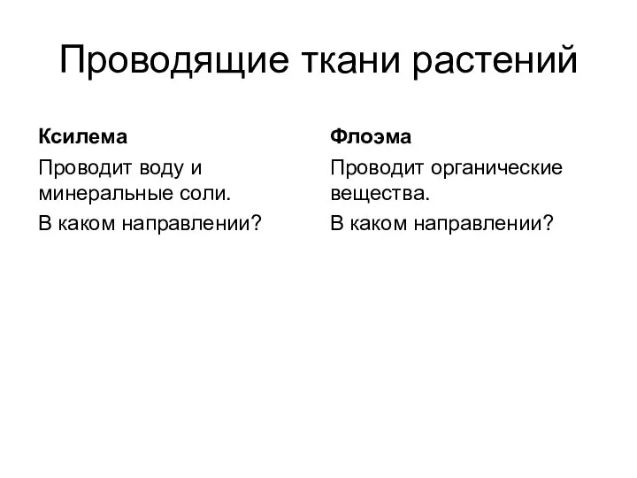 Проводящие ткани растений Ксилема Проводит воду и минеральные соли. В каком