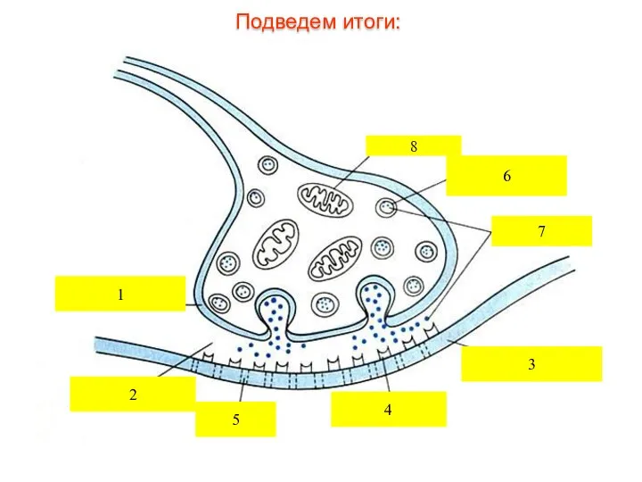 1 2 3 4 5 6 7 8 Подведем итоги: