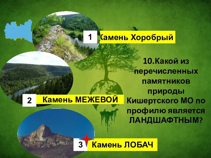 10.Какой из перечисленных памятников природы Кишертского МО по профилю является ЛАНДШАФТНЫМ?