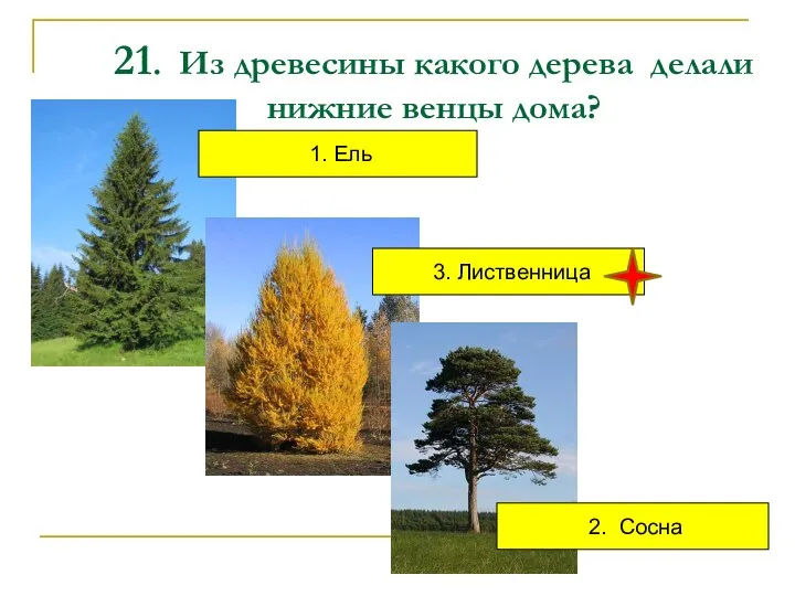 21. Из древесины какого дерева делали нижние венцы дома? 1. Ель 3. Лиственница 2. Сосна