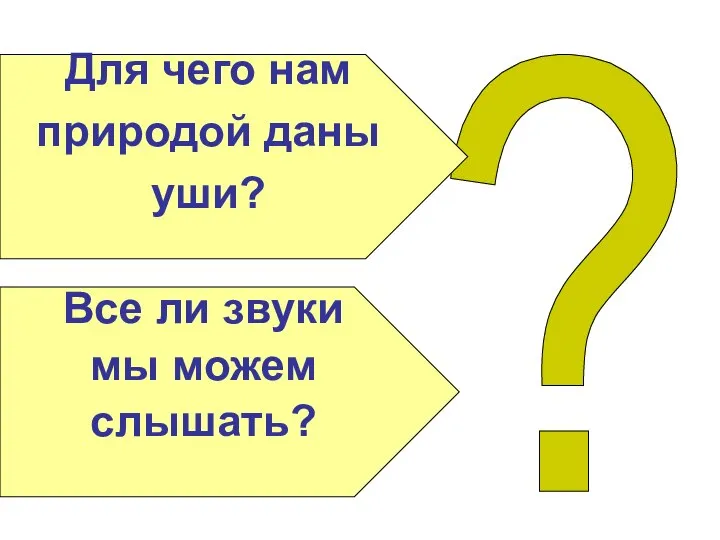 ? Для чего нам природой даны уши? Все ли звуки мы можем слышать?