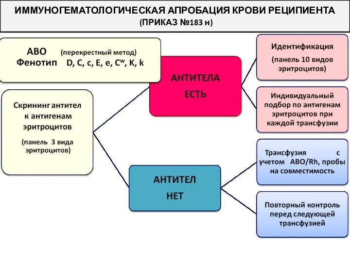 ИММУНОГЕМАТОЛОГИЧЕСКАЯ АПРОБАЦИЯ КРОВИ РЕЦИПИЕНТА (ПРИКАЗ №183 н)