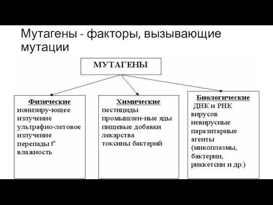 Мутагены - факторы, вызывающие мутации