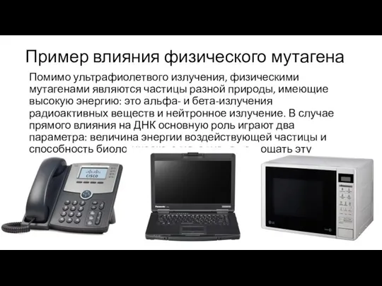 Пример влияния физического мутагена Помимо ультрафиолетвого излучения, физическими мутагенами являются частицы