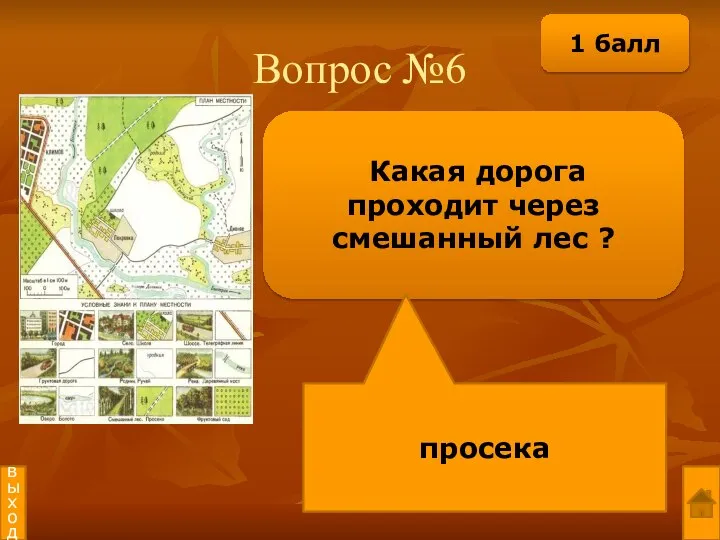 Вопрос №6 Какая дорога проходит через смешанный лес ? просека выход 1 балл