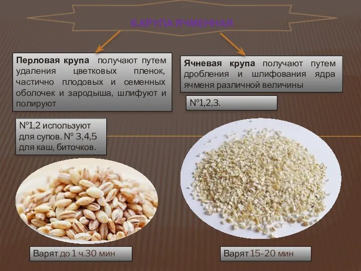 Перловая крупа получают путем удаления цветковых пленок, частично плодовых и семенных