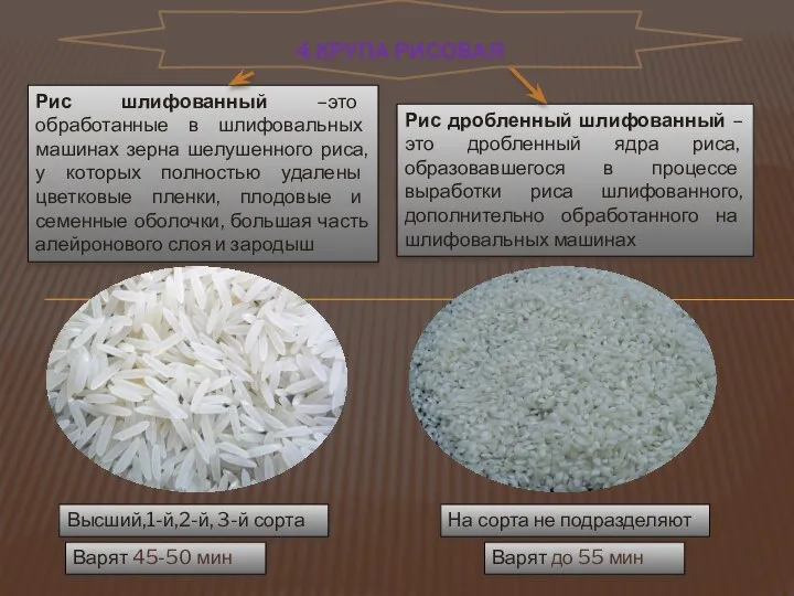 Рис шлифованный –это обработанные в шлифовальных машинах зерна шелушенного риса, у