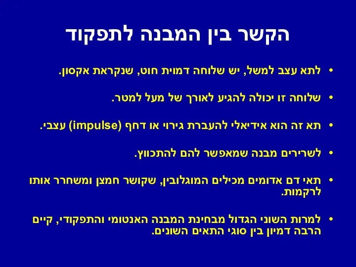 הקשר בין המבנה לתפקוד לתא עצב למשל, יש שלוחה דמוית חוט,