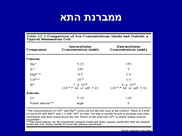 ממברנת התא