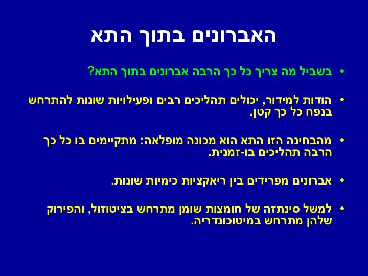 האברונים בתוך התא בשביל מה צריך כל כך הרבה אברונים בתוך