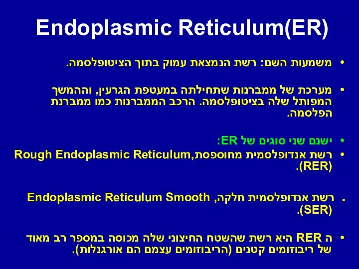 Endoplasmic Reticulum(ER) משמעות השם: רשת הנמצאת עמוק בתוך הציטופלסמה. מערכת של