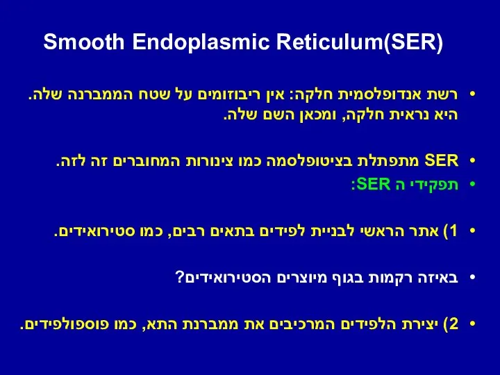 Smooth Endoplasmic Reticulum(SER) רשת אנדופלסמית חלקה: אין ריבוזומים על שטח הממברנה