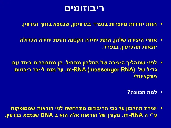 ריבוזומים התת יחידות מיוצרות בנפרד בגרעינון, שנמצא בתוך הגרעין. אחרי היצירה