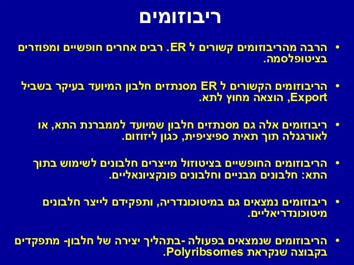 ריבוזומים הרבה מהריבוזומים קשורים ל ER. רבים אחרים חופשיים ומפוזרים בציטופלסמה.