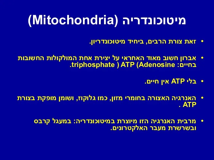 מיטוכונדריה (Mitochondria) זאת צורת הרבים, ביחיד מיטוכונדריון. אברון חשוב מאוד האחראי