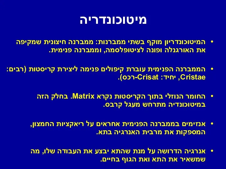 מיטוכונדריה המיטוכונדריון מוקף בשתי ממברנות: ממברנה חיצונית שמקיפה את האורגנלה ופונה