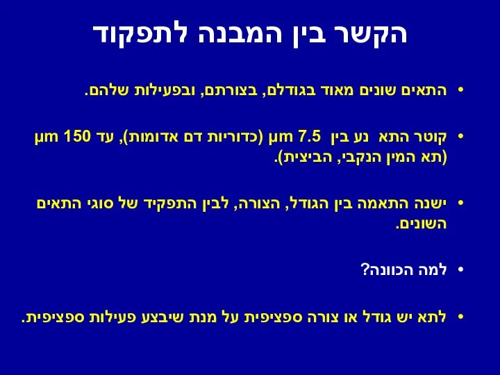 הקשר בין המבנה לתפקוד התאים שונים מאוד בגודלם, בצורתם, ובפעילות שלהם.