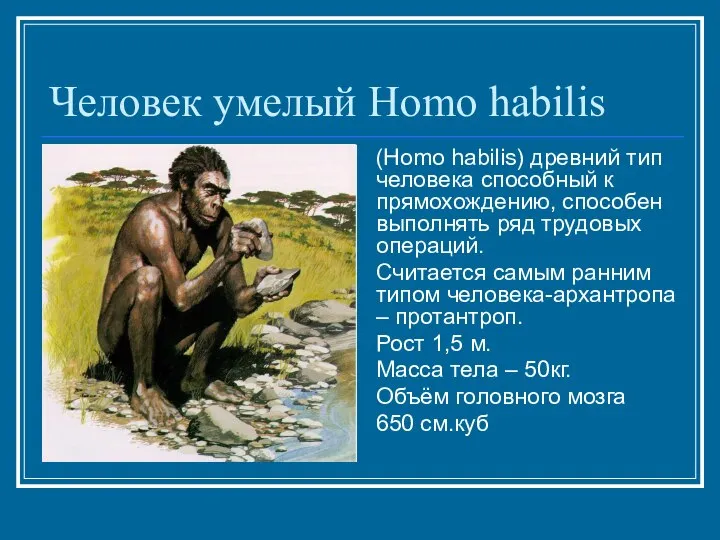 Человек умелый Homo habilis (Homo habilis) древний тип человека способный к