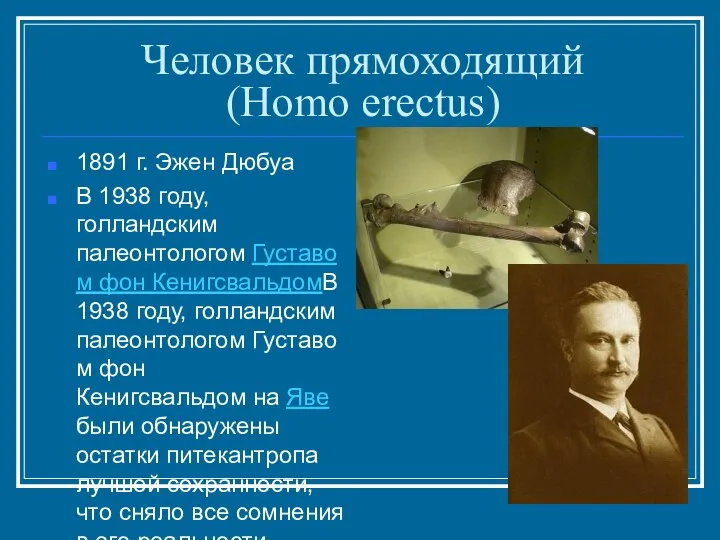 Человек прямоходящий (Homo erectus) 1891 г. Эжен Дюбуа В 1938 году,