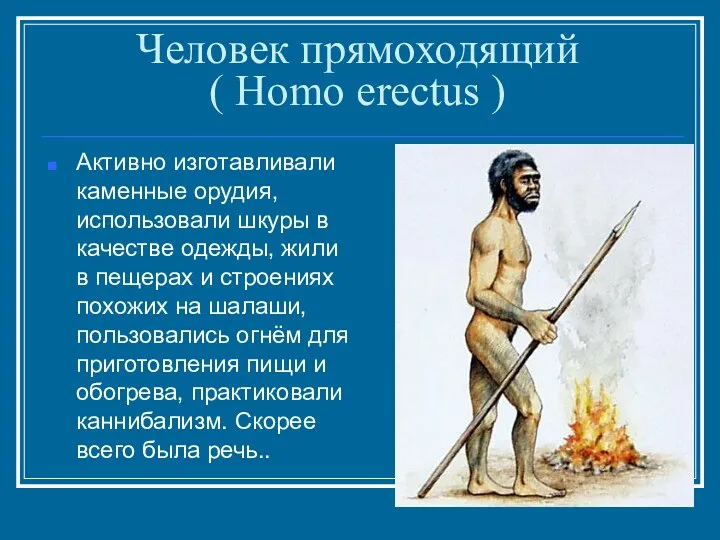 Человек прямоходящий ( Homo erectus ) Активно изготавливали каменные орудия, использовали