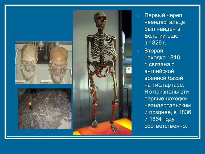 Первый череп неандертальца был найден в Бельгии ещё в 1829 г.