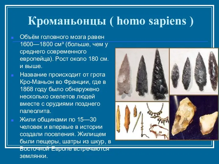 Кроманьонцы ( homo sapiens ) Объём головного мозга равен 1600—1800 см³