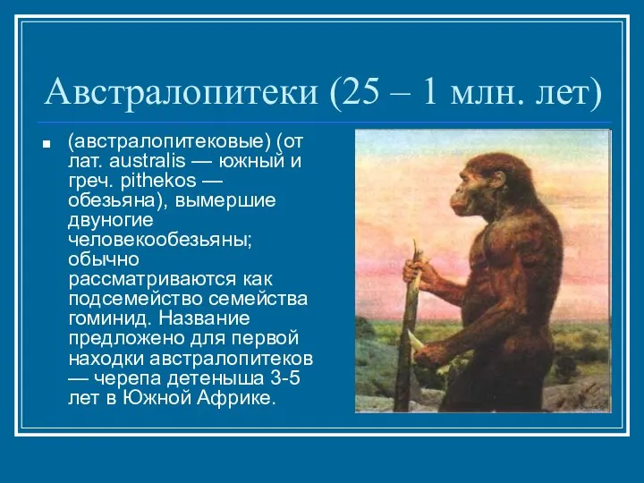 Австралопитеки (25 – 1 млн. лет) (австралопитековые) (от лат. australis —