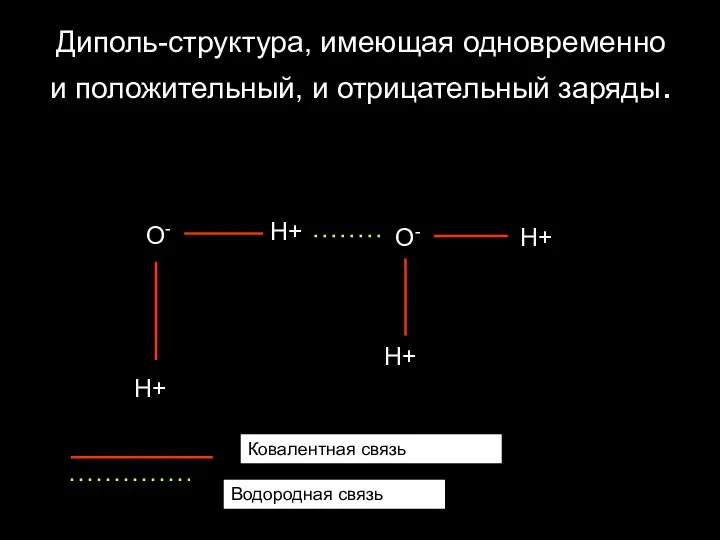 Диполь-структура, имеющая одновременно и положительный, и отрицательный заряды. Ковалентная связь Водородная связь