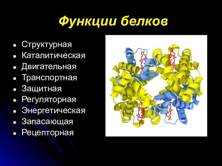 Функции белков Структурная Каталитическая Двигательная Транспортная Защитная Регуляторная Энергетическая Запасающая Рецепторная