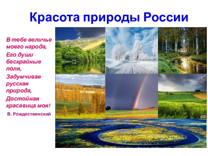 Красота природы России В тебе величье моего народа, Его души бескрайные