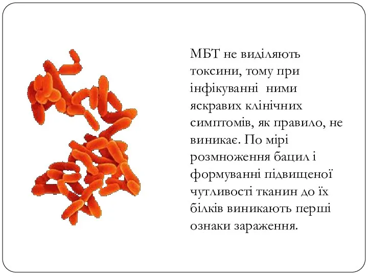 МБТ не виділяють токсини, тому при інфікуванні ними яскравих клінічних симптомів,