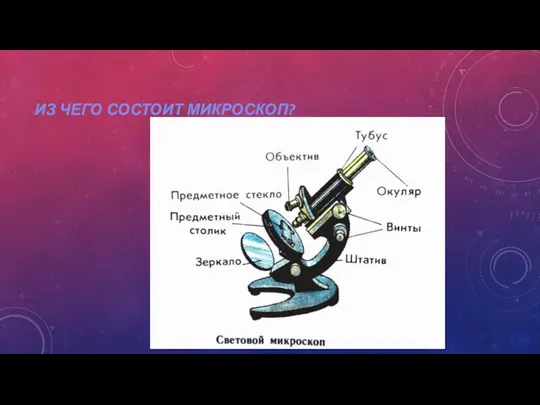 ИЗ ЧЕГО СОСТОИТ МИКРОСКОП?