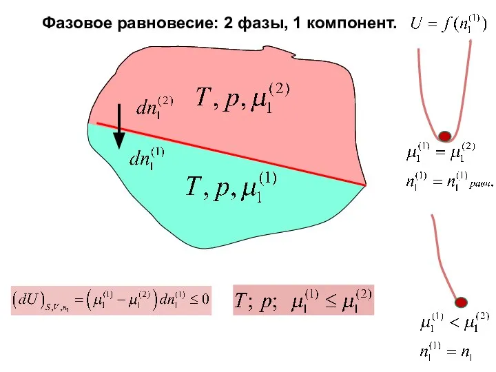 Фазовое равновесие: 2 фазы, 1 компонент.