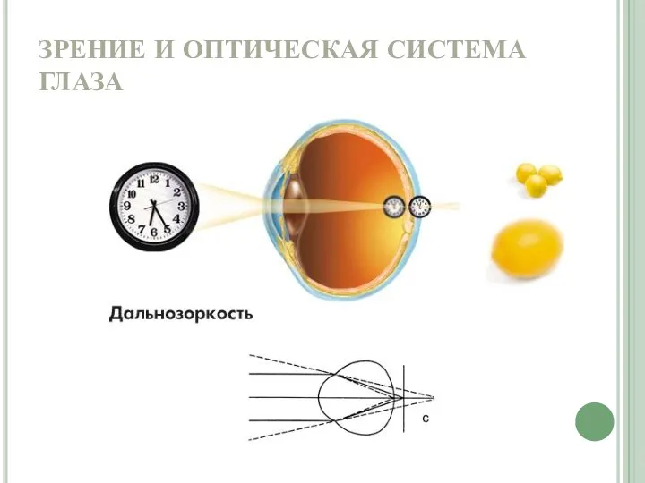 ЗРЕНИЕ И ОПТИЧЕСКАЯ СИСТЕМА ГЛАЗА