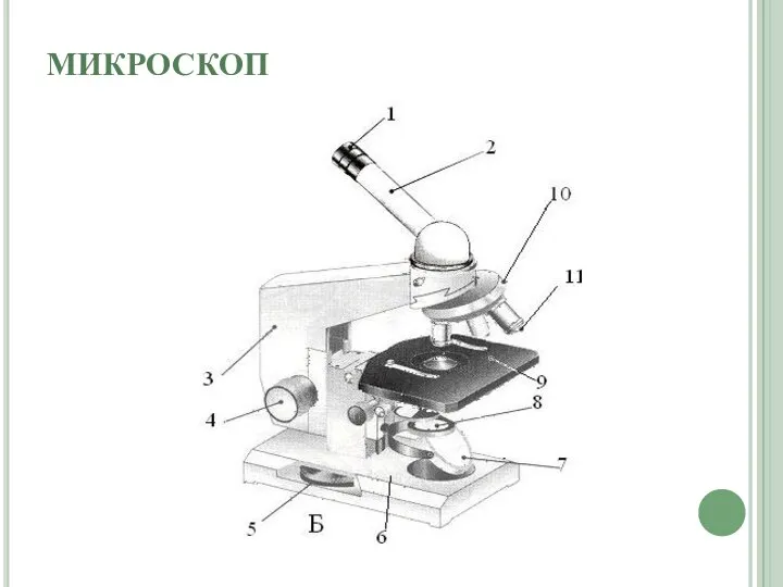 МИКРОСКОП