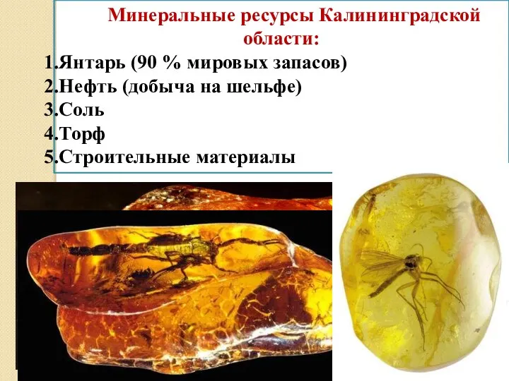 Минеральные ресурсы Калининградской области: Янтарь (90 % мировых запасов) Нефть (добыча