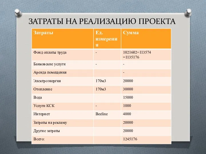 ЗАТРАТЫ НА РЕАЛИЗАЦИЮ ПРОЕКТА